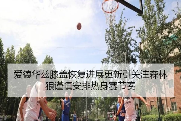 爱德华兹膝盖恢复进展更新引关注森林狼谨慎安排热身赛节奏