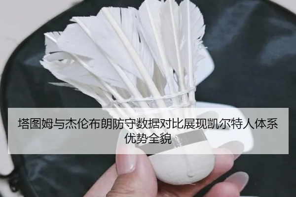 塔图姆与杰伦布朗防守数据对比展现凯尔特人体系优势全貌